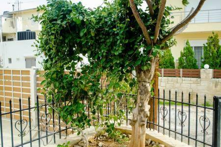 Apartamento Sun By The Sea 2 Agia Pelagia  Exterior foto